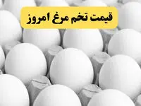 اعلام جدیدترین قیمت تخم‌مرغ امروز سه‌شنبه ۶ خرداد ۱۴۰۴ | هر دانه تخم مرغ محلی چند؟