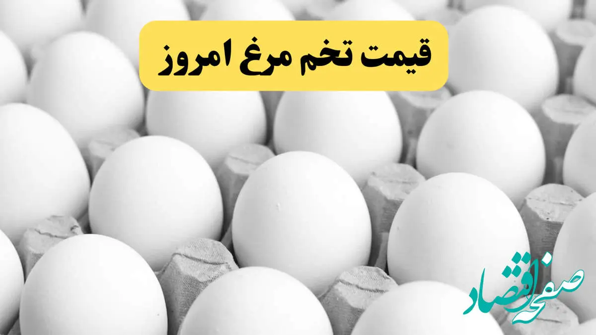 قیمت لحظهای تخم مرغ امروز پنجشنبه ۲۳ اسفند ۱۴۰۳/ دانه ای و شانه ای چقدر؟