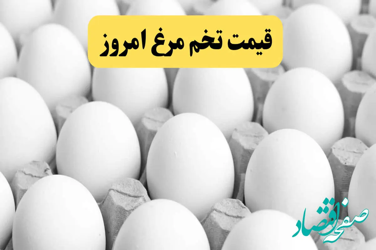 قیمت لحظه‌ای تخم مرغ امروز پنجشنبه ۲۳ اسفند ۱۴۰۳/ دانه ای و شانه ای چقدر؟