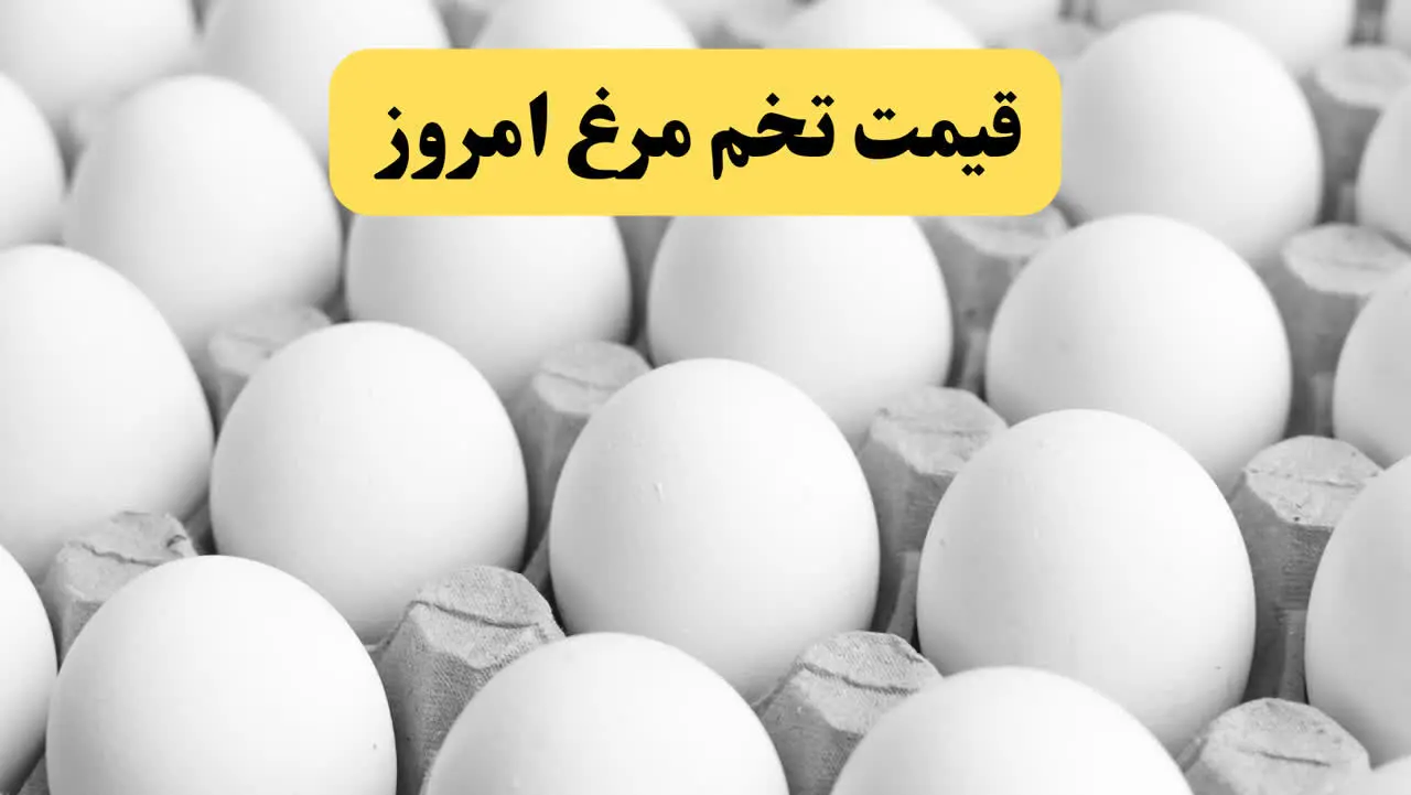 گزارش قیمت تخم مرغ امروز دوشنبه ۲۰ اسفند ۱۴۰۳