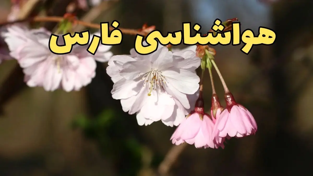 پیش بینی هواشناسی شیراز ۲۴ ساعت آینده | وضعیت آب و هوا فارس فردا سه شنبه ۱۲ فروردین ماه ۱۴۰۴ | آب و هوای شیراز در روز ۱۳ بدر + هواشناسی فارس