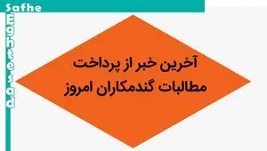 آخرین خبر از پرداخت مطالبات گندمکاران امروز دوشنبه ۳۰ مهر ۱۴۰۳ | مطالبات گندمکاران به زودی پرداخت می‌شود