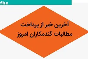 آخرین خبر از پرداخت مطالبات گندمکاران امروز یکشنبه ۶ آبان ماه ۱۴۰۳ / تسویه بیش از ۹۰ درصد مطالبات گندم‌کاران در آینده نزدیک