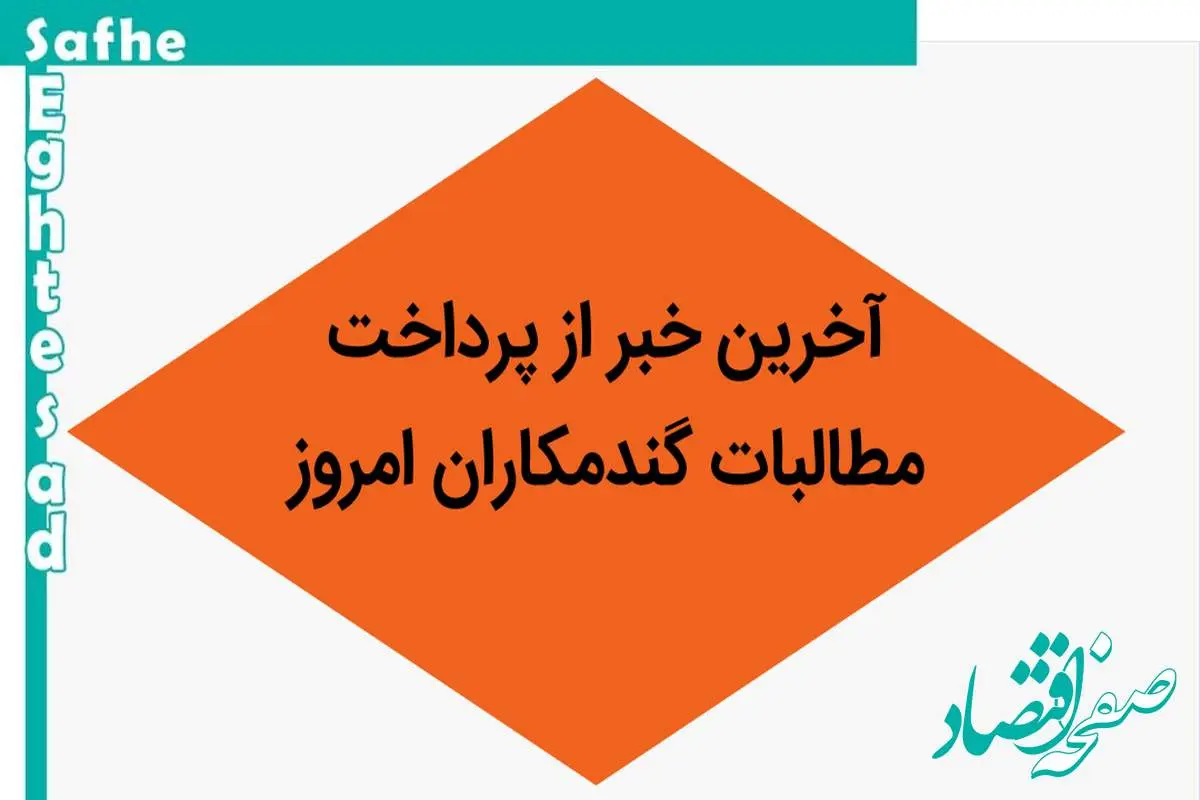 آخرین خبر از پرداخت مطالبات گندمکاران امروز دوشنبه ۳۰ مهر ۱۴۰۳ | مطالبات گندمکاران به زودی پرداخت می‌شود