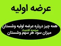 همه چیز درباره عرضه اولیه وشستان + میزان سود هر سهم وشستان