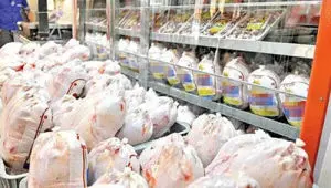 روزانه چند هزارتن مرغ در سطح کشور توزیع می شود؟ 