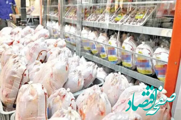 روزانه چند هزارتن مرغ در سطح کشور توزیع می شود؟ 