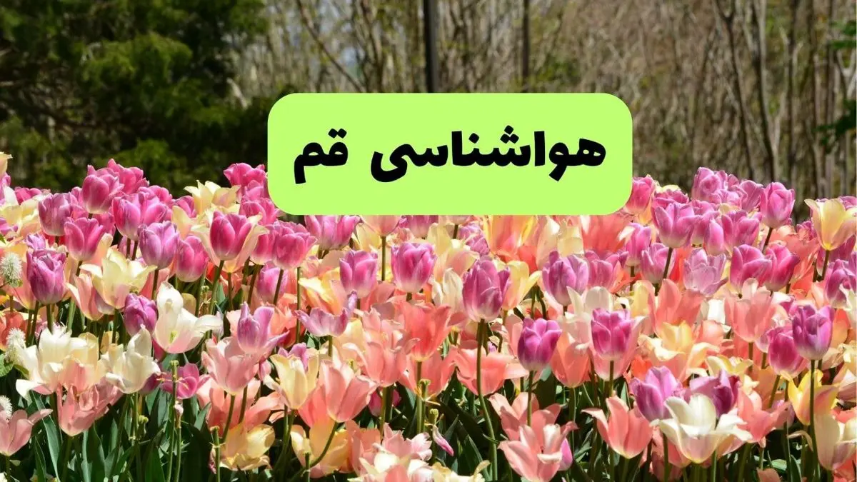 پیش بینی وضعیت آب و هوا قم پنجشنبه ۲۲ خرداد ماه ۱۴۰۴ + هواشناسی قم امروز