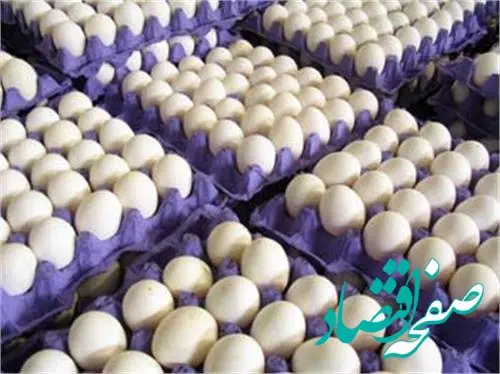  نرخ جدید تخم مرغ هفته آینده اعلام می‌شود