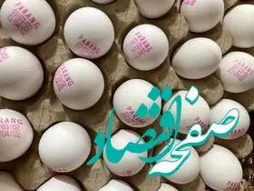 قیمت تخم مرغ امروز پنجشنبه ۲۸ تیر ماه ۱۴۰۳ + جدول