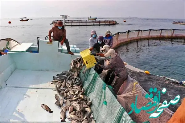 سهم 17 هزار میلیاردی تسهیلات بانک کشاورزی در تامین پروتئین دریایی سبد غذایی خانوارها