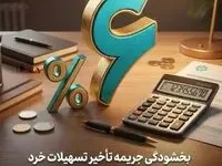 اجرای طرح بخشودگی جریمه تأخیر تسهیلات خرد در بانک توسعه تعاون