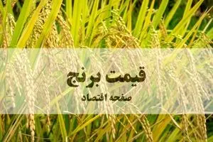 سقوط تاریخی قیمت برنج؛ آرامش بی‌سابقه در بازار به روایت آمارهای جهانی