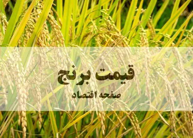 لیست قیمت انواع برنج وارداتی ۱۴ تیر ۱۴۰۵