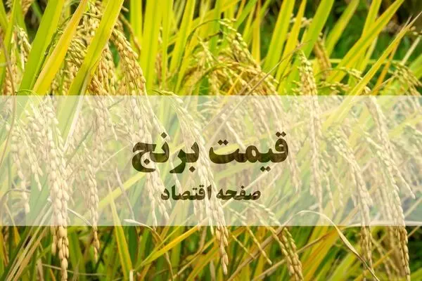 قیمت جدید انواع برنج هندی امروز پنجشنبه ۳۰ مهر