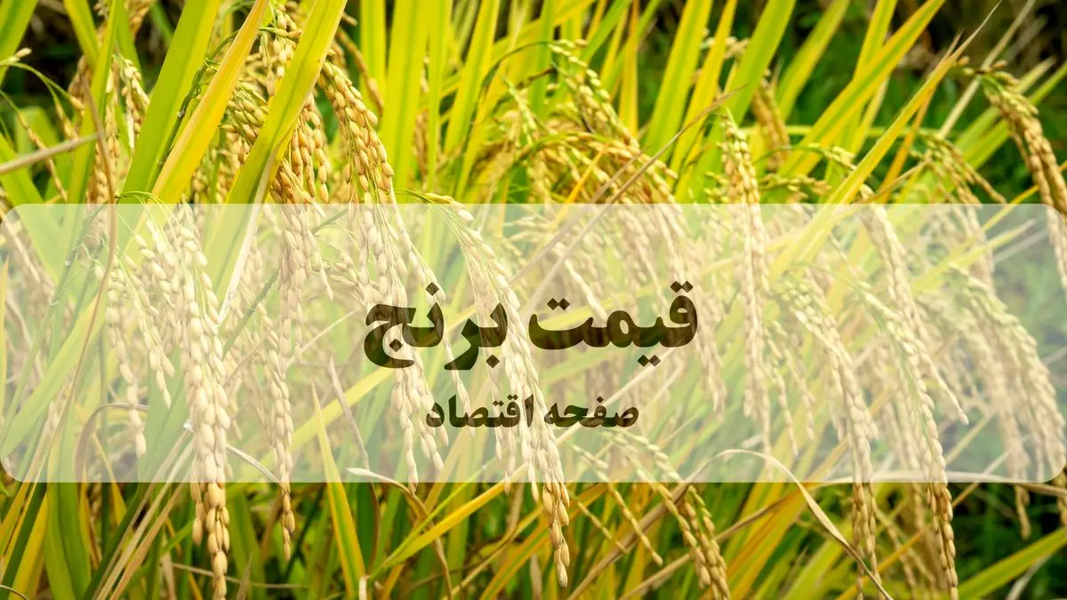 لیست قیمت انواع برنج وارداتی ۱۴ تیر ۱۴۰۵