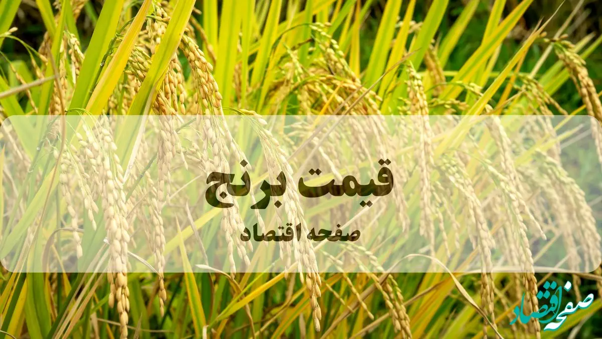 سقوط تاریخی قیمت برنج؛ آرامش بی‌سابقه در بازار به روایت آمارهای جهانی