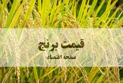 قیمت برنج پاکستانی امروز چهارشنبه ۸ مهر ۱۴۰۵
