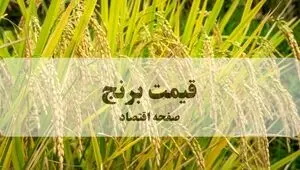 برنج هاشمی درجه یک کیلویی چند شد؟