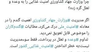 چرا وزارت جهاد کشاورزی امنیت غذایی را به وعده و تعلل گره زده؟