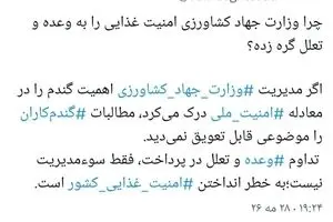 چرا وزارت جهاد کشاورزی امنیت غذایی را به وعده و تعلل گره زده؟