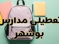 تعطیلی مدارس بوشهر فردا سه‌شنبه ۳۰ بهمن ۱۴۰۳ | مدارس بوشهر سه‌شنبه ۳۰ بهمن ۱۴۰۳ تعطیل شد؟