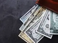 جزئیات جدید درباره ارز مسافرتی