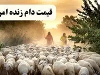 جدول قیمت دام زنده امروز ۱۹ فروردین ۱۴۰۴ | گوسفند زنده چند؟