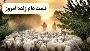 جدیدترین قیمت دام زنده امروز یکشنبه ۷ اردیبهشت ۱۴۰۴ + قیمت دام زنده در تهران