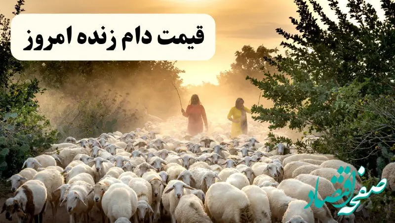 جدیدترین قیمت دام زنده امروز یکشنبه ۷ اردیبهشت ۱۴۰۴ + قیمت دام زنده در تهران