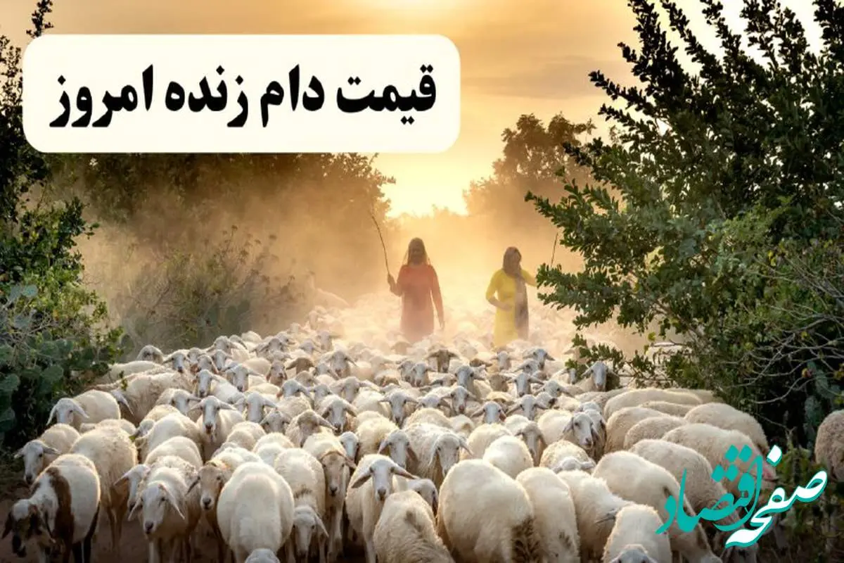 جدیدترین قیمت دام زنده امروز یکشنبه ۷ اردیبهشت ۱۴۰۴ + قیمت دام زنده در تهران