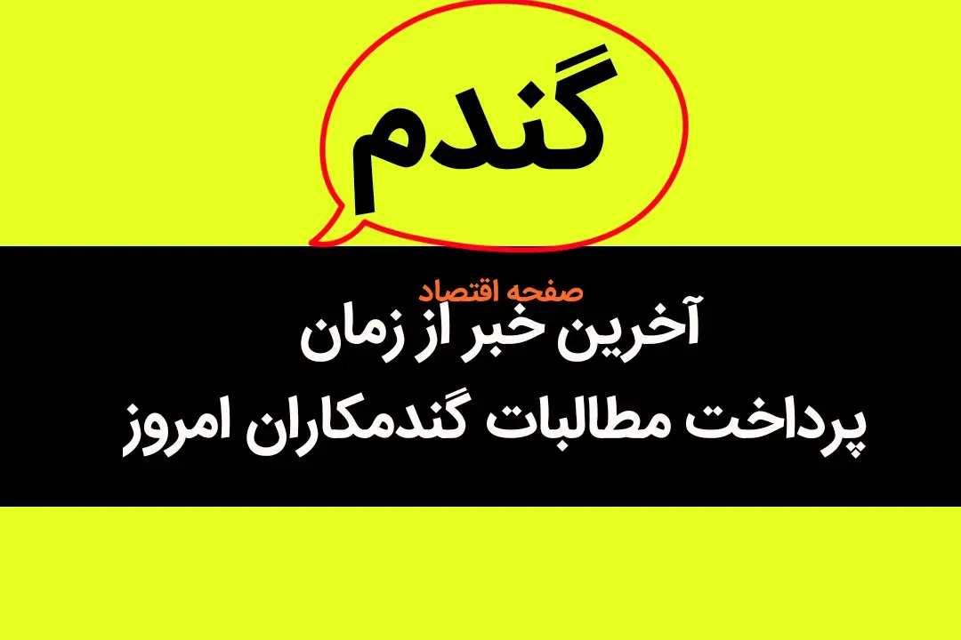 آخرین خبر از زمان پرداخت مطالبات گندمکاران امروز سه شنبه ۲۵ اردیبهشت ۱۴۰۳