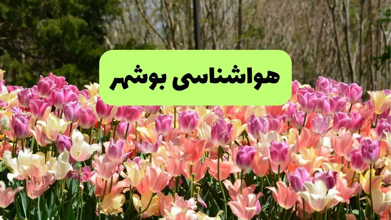 هواشناسی بوشهر شنبه | پیش بینی وضعیت آب و هوا بوشهر فردا شنبه ۲۲ فروردین ماه ۱۴۰۵ 