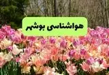 هواشناسی بوشهر ۲۴ ساعت آینده اعلام شد | پیش بینی وضعیت آب و هوا بوشهر فردا دوشنبه ۱۹ خرداد ماه ۱۴۰۴ 