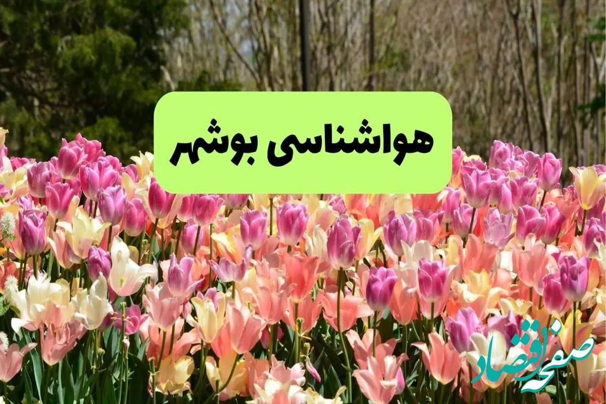 هواشناسی بوشهر ۲۴ ساعت آینده اعلام شد | پیش بینی وضعیت آب و هوا بوشهر فردا دوشنبه ۱۹ خرداد ماه ۱۴۰۴