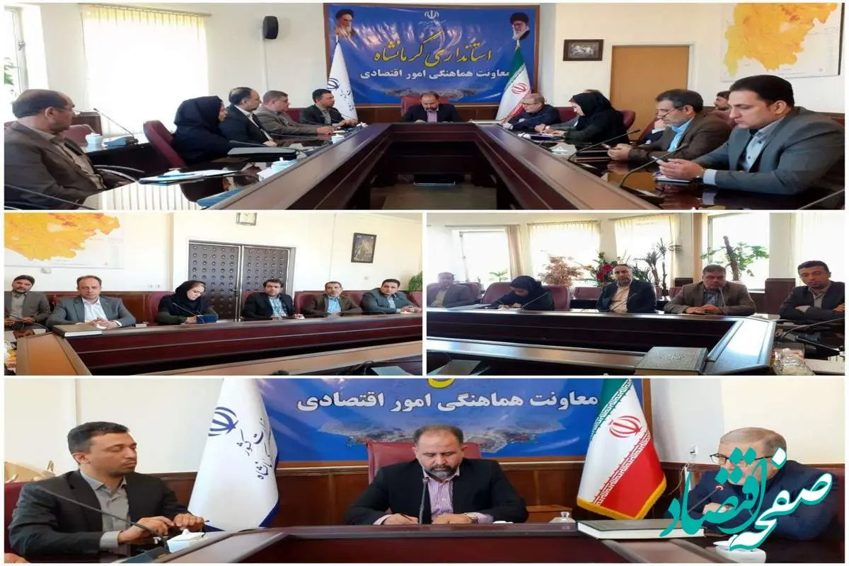 نشست هماندیشی توسعه صنعتی و معدنی کرمانشاه با حضور معاون اقتصادی استاندار و مدیران ارشد ایمیدرو و ایدرو