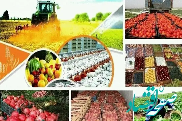 لیست کامل معافیت‌های مالیاتی محصولات کشاورزی و مواد غذایی