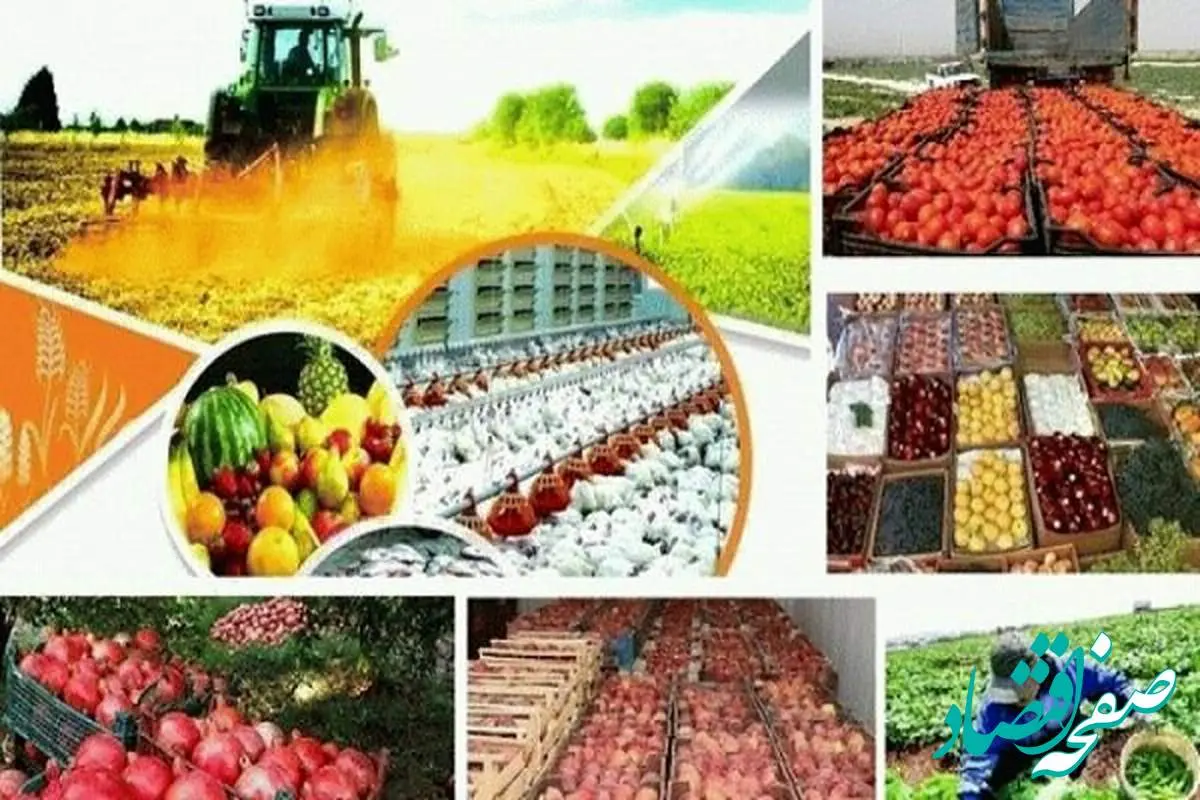 لیست کامل معافیتهای مالیاتی محصولات کشاورزی و مواد غذایی
