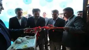 افتتاح شعبه خسارت بیمه ایران در شهرکرد مرکز چهارمحال و بختیاری