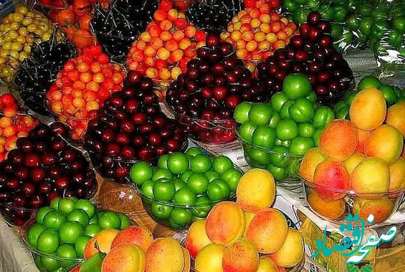 ساعات میادین و بازارهای میوه و تره‌بار برای شب یلدا تغییر کرد