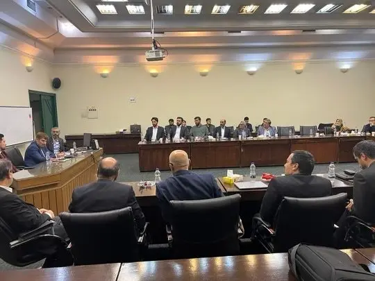 اهمیت برنامه هفتم توسعه برای زنجیره‌های تولیدی کشور