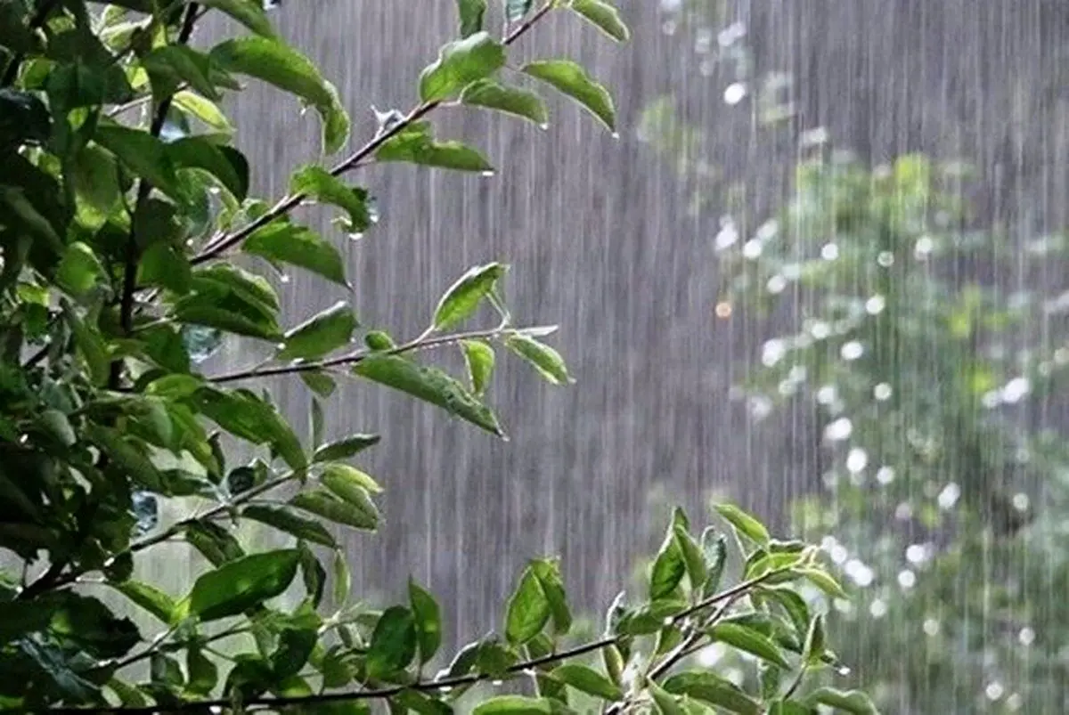 وضعیت آب و هوا مازندران فردا پنجشنبه ۲۳ شهریور ماه ۱۴٠۲ | مازندرانی ها بخوانند