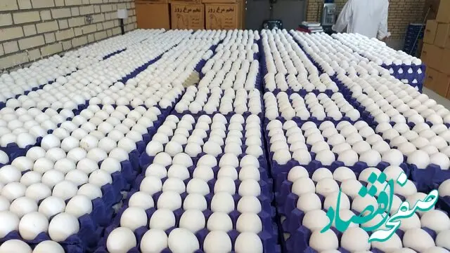 قیمت تخم‌ مرغ تا پایان ماه رمضان تغییر نمی‌کند