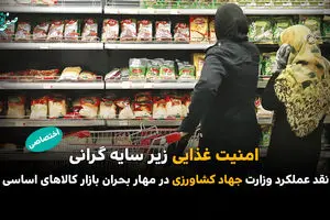 امنیت غذایی زیر سایه گرانی؛ نقد عملکرد وزارت جهاد کشاورزی در مهار بحران بازار کالاهای اساسی