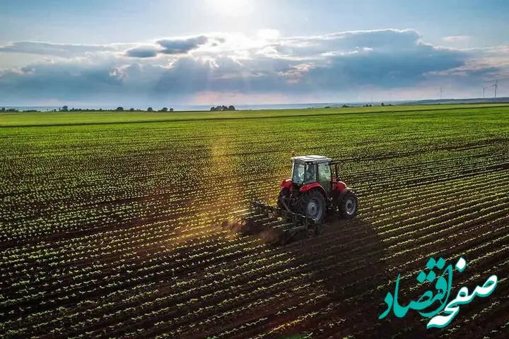 فقط سه هفته تا فروپاشی امنیت غذایی جهان مانده است