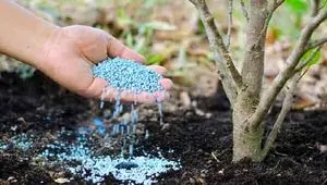 جنگ زنجیره جهانی کودهای کشاورزی را مختل کرد