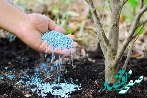 جنگ زنجیره جهانی کودهای کشاورزی را مختل کرد