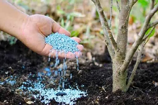 جنگ زنجیره جهانی کودهای کشاورزی را مختل کرد