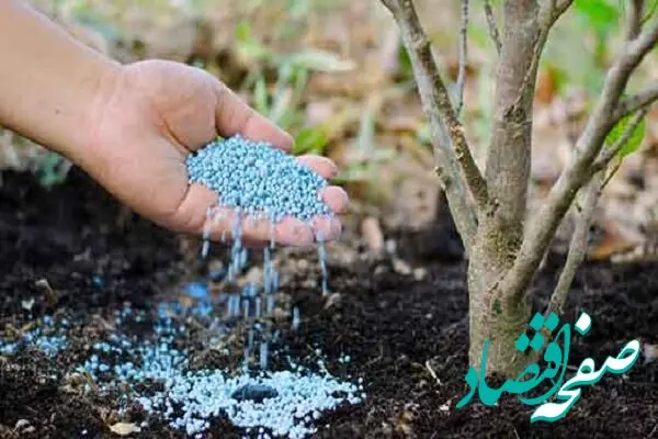جنگ زنجیره جهانی کودهای کشاورزی را مختل کرد