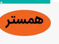 فوری؛ قیمت همستر کامبت (HMSTR) برملا شد! / قیمت ۱۰۰۰ همستر چند دلار می‌شود؟